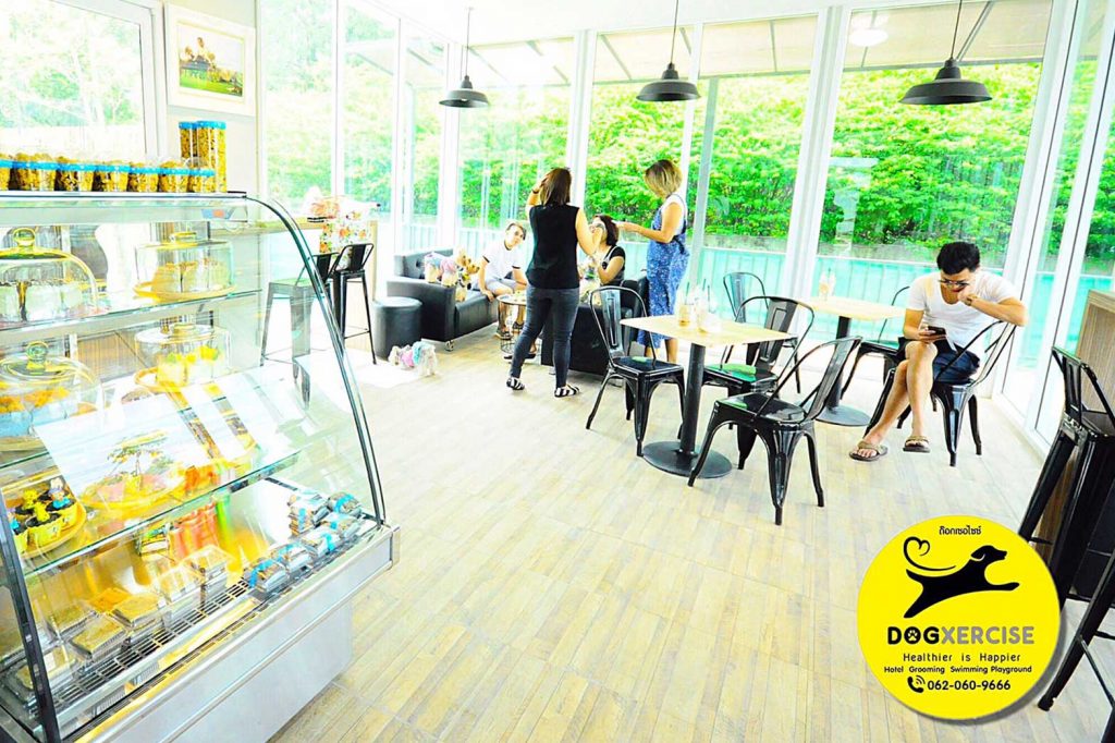 Cafe