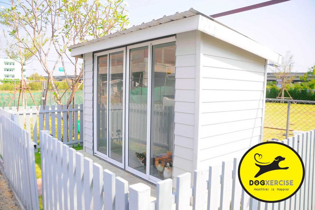 Air-conditioned dog hotel rooms